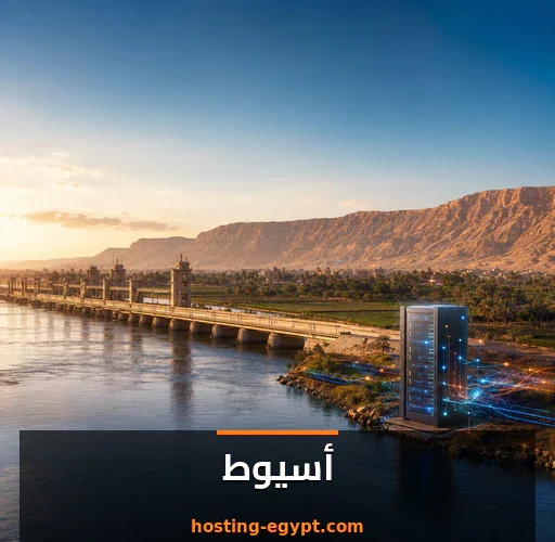 استضافة مواقع في أسيوط