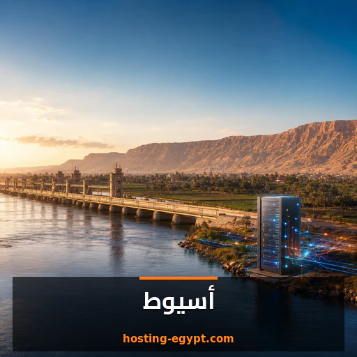 استضافة مواقع في أسيوط