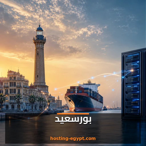 استضافة مواقع في بورسعيد